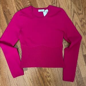 NWT Babaton sweater